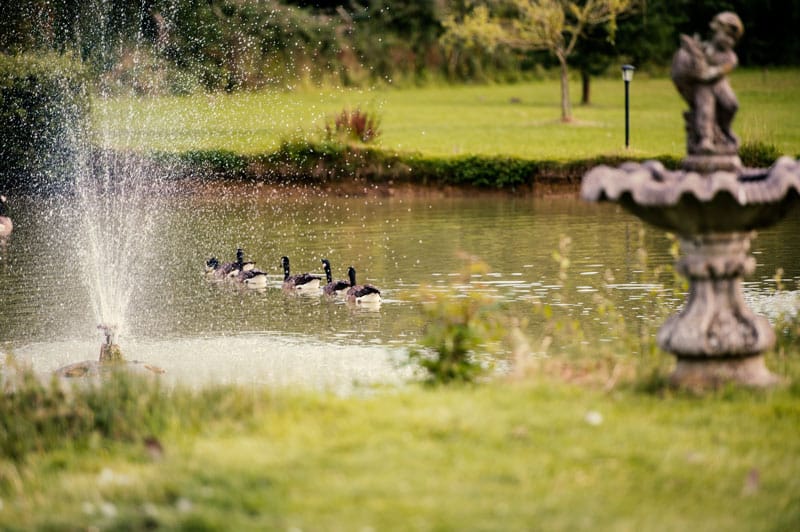 lakeside-Suite-asian-wedding-venue-gardens